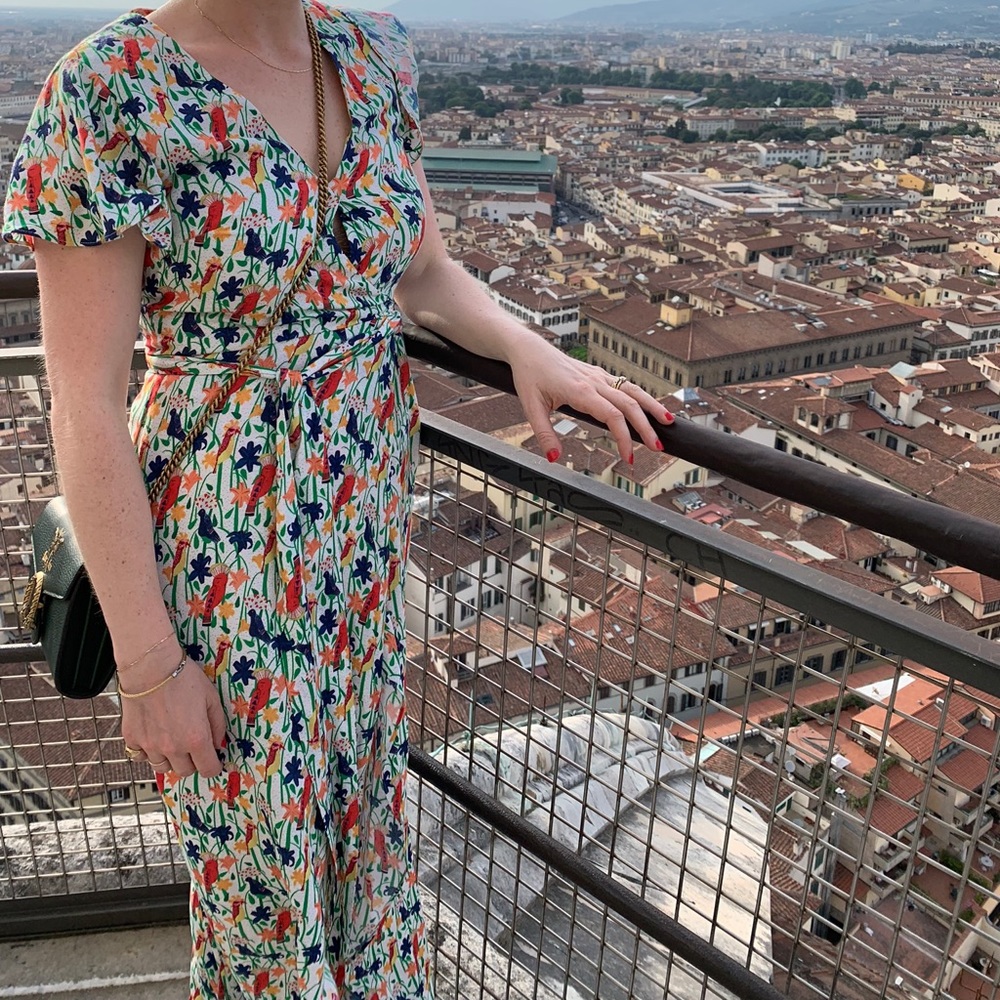 Alice and Olivia Bird Dress